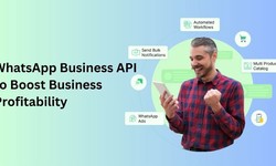 Revolutionize Your Communication with WhatsApp Business API by WebMaxy