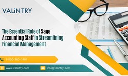 Elevate Your Business Strategy with Salesforce Industry Solutions