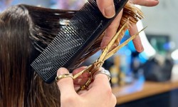 Myths vs Facts: What Should You Know About Your Hair