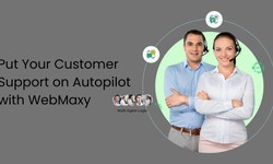 WebMaxy: Redefining Customer Support Automation