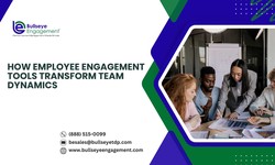 How Employee Engagement Tools Transform Team Dynamics