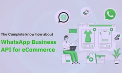 Everything You Need to Know About WhatsApp Business API for eCommerce