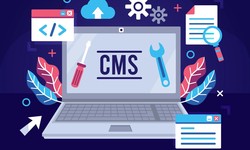 Elevate Your Online Presence with Professional Drupal Development Services