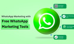 Discover Insights of WhatsApp Marketing with Free WhatsApp Marketing Tools