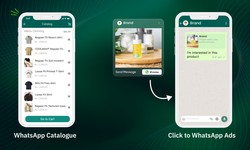 Click-to-WhatsApp Ads & WhatsApp Catalogue: A Powerful Duo for Business Growth