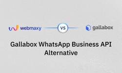 WebMaxy: The Top Alternative to Gallabox WhatsApp Business API