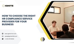 How to Choose the Right HR Compliance Service Provider for Your Business