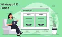 Understanding WhatsApp Business API Pricing in 2025