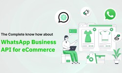 WhatsApp Business API Solutions & Pricing: Find the Best Provider for Your Business