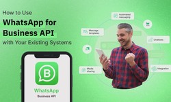 How to Use WhatsApp Business API: A Complete Guide