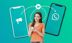 WhatsApp Campaign: The Ultimate Guide to WhatsApp Marketing Campaigns by WebMaxy