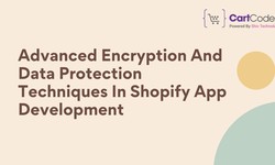 Advanced Encryption and Data Protection Techniques in Shopify App Development