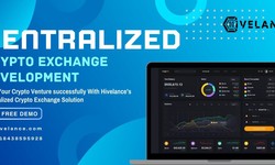 Centralized Cryptocurrency Exchange Development - Interesting tactics that can help your business grow