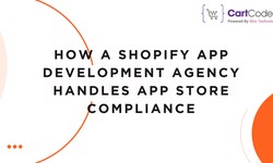 How a Shopify App Development Agency Handles App Store Compliance
