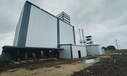 Biodiesel Manufacturing: Everything You Need to Know About Eco-Friendly Fuel