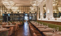 How to Choose Noise-Reducing Furniture for Bustling Dining Rooms?