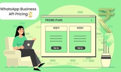 WhatsApp Business API Pricing Explained: What You Need to Know About WhatsApp API Costs with WebMaxy