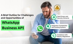 Challenges and Opportunities of WhatsApp Business API for E-commerce Businesses