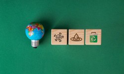 The Tangible Footprint: Understanding Scope 1 Carbon Emissions in a Changing World