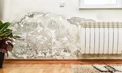 Wall Insulation for Warehouses and Factories