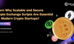 Why Scalable and Secure Crypto Exchange Scripts Are Essential for Modern Crypto Startups?