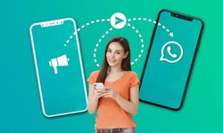 Supercharge Your Sales with WhatsApp Campaigns: Tools, Strategies, and Ad Success with WebMaxy