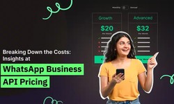 Breaking Down the Costs: Insights at WhatsApp Business API Pricing