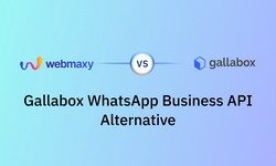 Why WebMaxy is the Best Alternative to Gallabox WhatsApp Business API?