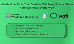 How WebMaxy Solution Elevates Your Business Beyond Wati