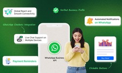 Supercharge Customer Engagement with WhatsApp Business API from WebMaxy