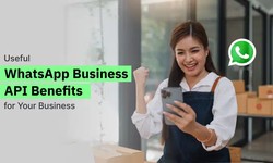Useful WhatsApp Business API Benefits for Your Business