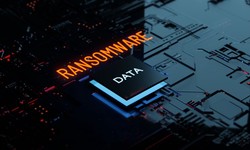 Ransomware Crisis Unfolds – What Every Business Must Learn Today?