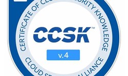 Valid Test CCSK Test & New CCSK Test Materials - CCSK Test Online