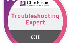 CheckPoint Certification 156-585 Exam Infor - 156-585 Reliable Exam Test
