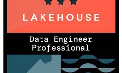 Practice Databricks-Certified-Professional-Data-Engineer Test Online - Databricks Databricks-Certified-Professional-Data-Engineer Free Braindumps