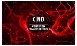 Pass Guaranteed Quiz 2022 312-38: EC-Council Certified Network Defender CND – Valid Popular Exams