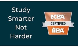 Reliable ECBA Test Syllabus - IIBA Exam ECBA Consultant