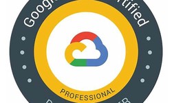 Google Dumps Professional-Data-Engineer Cost | Professional-Data-Engineer Exam Overview & Exam Professional-Data-Engineer Bible