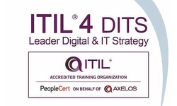 ITIL-4-DITS Praxisprüfung, Peoplecert ITIL-4-DITS Prüfungs & ITIL-4-DITS Prüfungsaufgaben