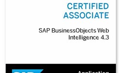 Certification C_BOWI_43 Test Questions | SAP New C_BOWI_43 Test Practice