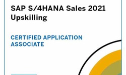 2022 Test C-TS462-2020 Engine & C-TS462-2020 Vce Download - SAP Certified Application Associate - SAP S/4HANA Sales 2020 Latest Learning Material