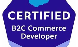 Vce B2C-Commerce-Developer Format & Practical B2C-Commerce-Developer Information - B2C-Commerce-Developer PDF VCE