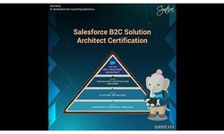 B2C-Solution-Architect인증덤프공부자료, Salesforce B2C-Solution-Architect최신버전시험덤프자료 & B2C-Solution-Architect유효한덤프