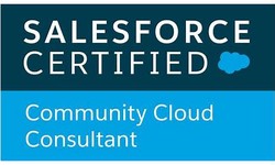 Salesforce Exam Community-Cloud-Consultant Online - Detailed Community-Cloud-Consultant Answers, Dumps Community-Cloud-Consultant Guide
