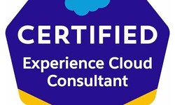 Experience-Cloud-Consultant Exam Test Book & Authoritative Latest Experience-Cloud-Consultant Test Practice Pass Success