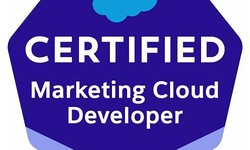 Latest Marketing-Cloud-Developer Test Name & Marketing-Cloud-Developer Valid Exam Blueprint - Testking Marketing-Cloud-Developer Learning Materials