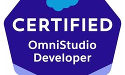 OmniStudio-Developer Latest Exam Simulator - Reliable OmniStudio-Developer Exam Practice