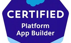 Platform-App-Builder Exam Questions Vce - 2022 Salesforce Platform-App-Builder First-grade Free Braindumps