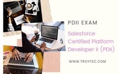 Salesforce PDII Trustworthy Source & Valid PDII Test Discount