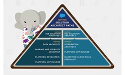 Salesforce Updated Sharing-and-Visibility-Architect Testkings & New Sharing-and-Visibility-Architect Exam Review